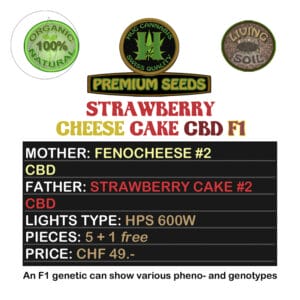 Hug Cannabis Strawberry Cheese Cake CBD F1 5 Seeds + 1 Free