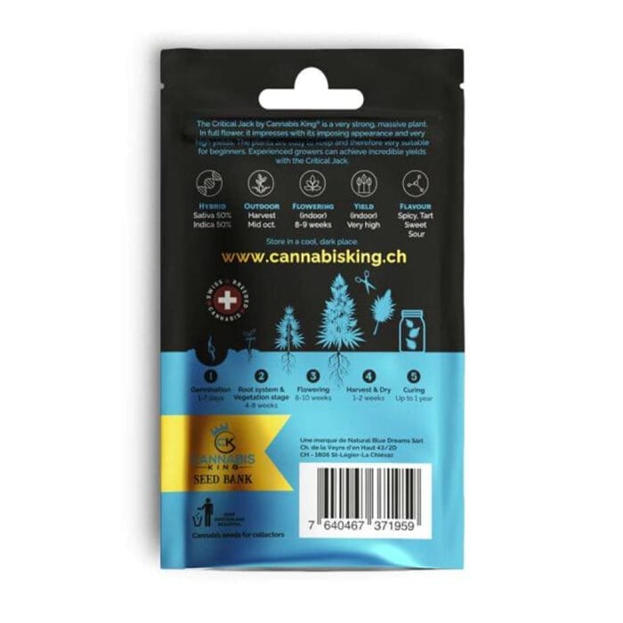 Cannabis King Critical Jack Seeds 3pcs Cannabis King Critical Jack Seeds 3pcs