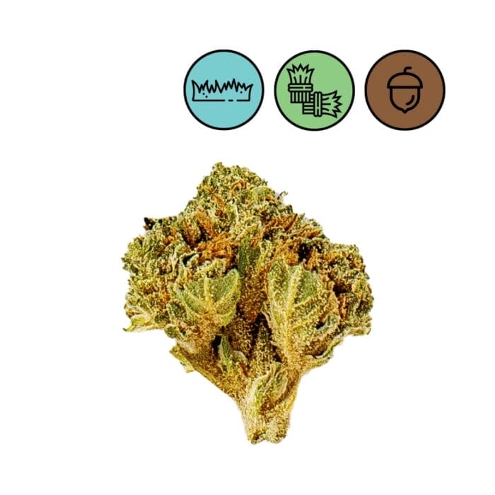 Slow Weed Snow White 10g – Bild 2